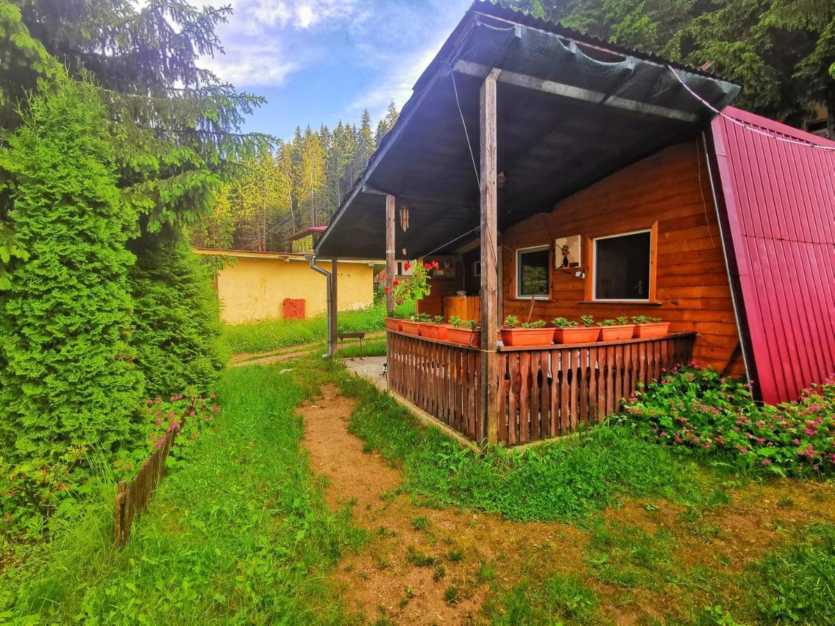 Orlino Holiday Park Sarnitsa Luaran gambar